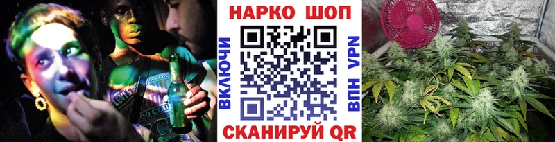 Где купить наркотики Будённовск Кокаин Псилоцибиновые грибы МАРИХУАНА Гашиш