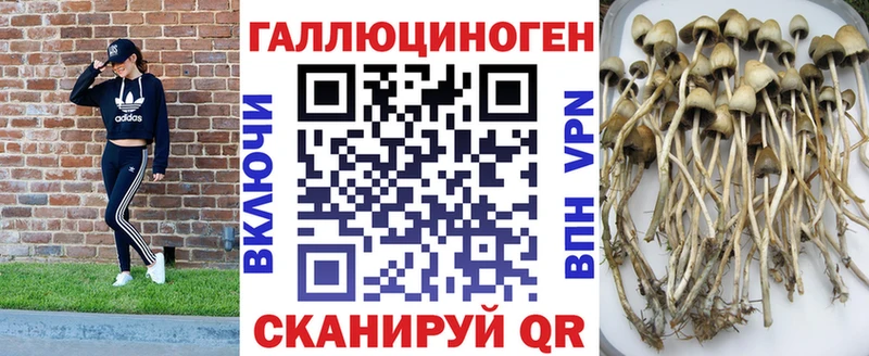 Псилоцибиновые грибы Magic Shrooms  Будённовск 